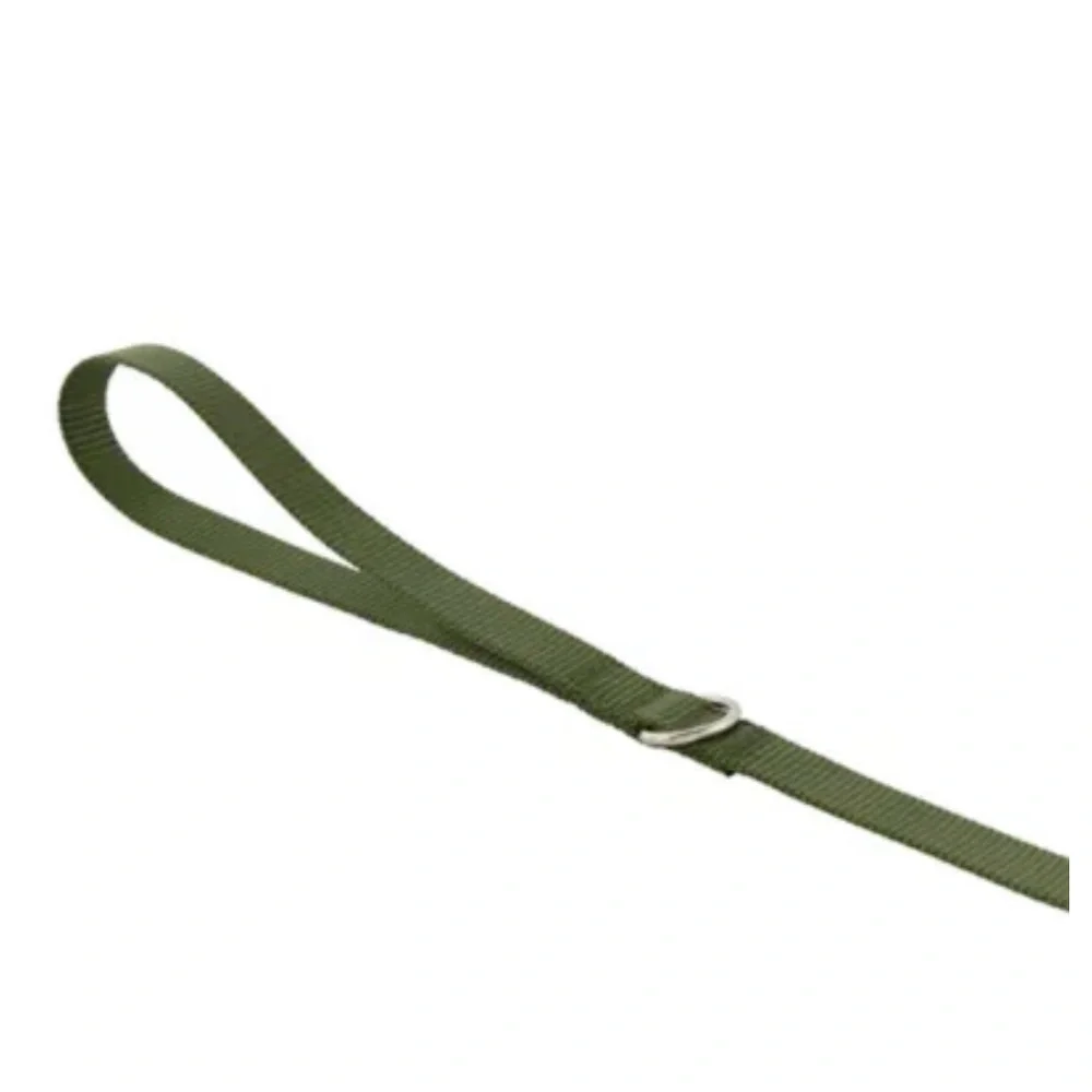 Top Paw 6 ft Long Olive Green Core Leash D Ring Silver Hardware Standard Leash